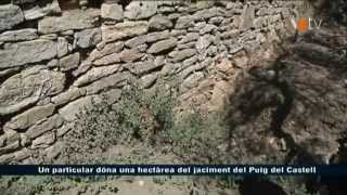 VOTV - Un particular dóna una hectàrea del jaciment del Puig del Castell