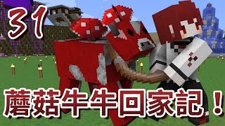 【蹲蹲】Minecraft半安價生存 _ Ep 31：蘑菇牛牛回家記！