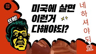 미국에 살면 이런거 다 해야되? / 네, 하셔야되요| 미국일상 브이로그 | 4인가족 미국생활