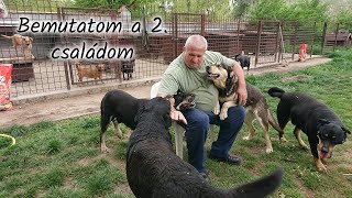 Bemutatom a 2. családom