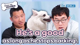 He's a good dog as long as he stops barking🫨 [Dogs Are Incredible : EP.219-1] | KBS WORLD TV 240514