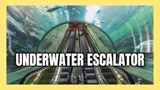 This escalator goes underwater #12 Best of China #Shorts