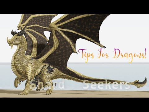 Tips For Dragons  Shard Seekers - Roblox