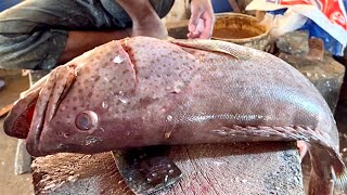 Giant Hamour Fish Cutting In Bangladesh Fish Market | Fish Cutting Skills