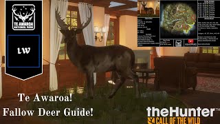 [2025/26] Fallow Deer Guide Te Awaroa -Thehunter Call of the Wild