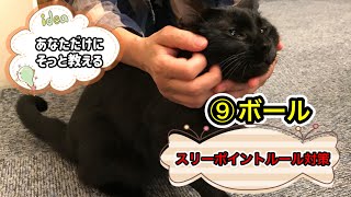 【ビリヤード】⑨ボールのスリーポイントルールについて