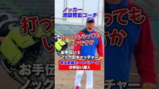 【奇跡】清田育宏コーチから『ノック打ってもらっていいですか？』と言われる瞬間　#shorts #埼玉武蔵ヒートベアーズ　#しょーへーtv