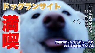 キャンプデビューにおすすめ。柴犬2匹とドッグランサイトでキャンプ満喫！