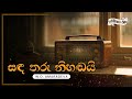 Sinhala Songs | Sanda Tharu Nihadai (සඳ තරු නිහඬයි) - W.D Amaradeva | Lyrics