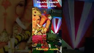 balapur Ganesh famous laddu