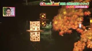 歴史に思いを馳せながら…日本庭園で夜の紅葉を愛でる　白河・翠楽苑でライトアップ＜福島県＞ (23/10/30 18:59)