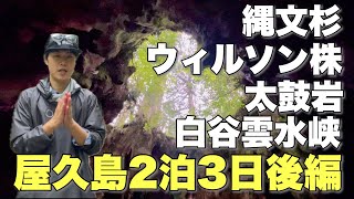 【屋久島登山】意外と盛りだくさん！屋久島旅後編も見て欲しいけどゆる旅動画です！【宮之浦岳下山から白谷雲水峡まで】