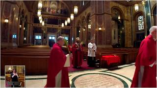 Palm Sunday Of The Lord39s Passion Mass 2020 Archbishop Gregory Archdiocese Of Washington DC USA