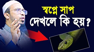 স্বপ্নে সাপ ও বিপদ দেখলে কি হয়? কখন স্বপ্ন দেখলে সত্যি হয় ? শায়খ আহমাদুল্লাহ | Shaikh Ahmadullah