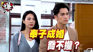 《多情大爆爆》多情城市 EP260  奉子成婚 喬不攏？