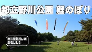 ［360度動画］ 都立野川公園 鯉のぼり［4K］ 202205051510