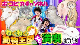 わくわく動物王国を満喫（前編）