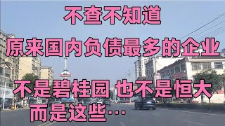 不查不知道，原来国内负债最多的企业不是恒大也不是碧桂园，而是