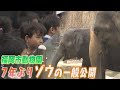 ゾウの一般公開が始まる　福岡市動物園では7年ぶり　ゾウ舎は高低差13メートルで迫力ある姿を観察