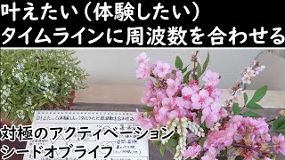 【パラレルワールド】叶えたい(体験したい)タイムラインに周波数を合わせ【ヒーリング】セイクリッドアクティベーション/圧倒される感覚のクリアリング/歓びや幸せ・豊かさのDNAの活性化　他