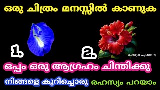 ഒരു ചിത്രത്തിൽ തൊടാതെ പോകല്ലെ നിങ്ങളെ കുറിച്ച് വലിയ രഹസ്യം ഉണ്ട്