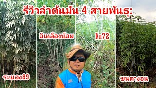 รีวิวลำต้นมันสัปหลัง ระยอง89  Ku72 อิเหลืองน้อย และ ขนตางอน (81)