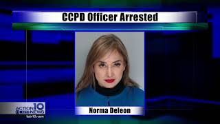 Veteran CCPD senior officer faces criminal charges