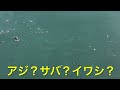 【フィッシングマックス和歌山インター店】田ノ浦リアルタイム　冬の定番の釣りと言えば！