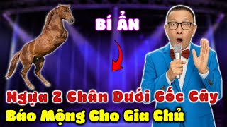 Tâm Sự Cùng Văn Sâm: Ngựa 2 Chân Dưới Gốc Cây Báo Mộng, Gia Chủ Trở Nên Giàu Có Nhờ Làm Theo Giấc Mơ
