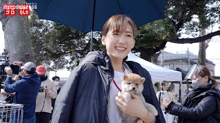 綾瀬はるか、子犬にメロメロ　ユニクロ新CM「LifeとWear／感動パンツ篇」CM楽曲は桑田佳祐「ほととぎす [杜鵑草]」