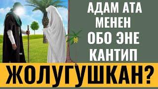 АДАМ АТА МЕНЕН ОБО ЭНЕ КАНТИП ЖОЛУГУШКАН?