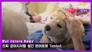 진짜 강아지처럼 생긴 반려로봇 'Tombot'