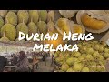 (Malaysia) Melaka Bemban Durian Heng #malaysia #melaka #bemban #durian