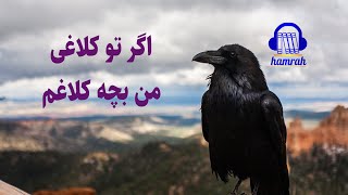 اگر تو کلاغی، من بچه کلاغم