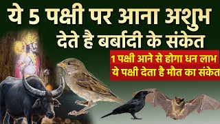 अगर घर में आ जाए ये 1 पक्षी तो अशुभ होता है तुरंत भगा दे, इन पक्षियों का आना शुभ Vastu tips