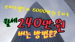 다판다TV dapandaTV 6000만원으로240만원번다 잠실파크캐슬오피스텔 부동산 투자 오피스텔 투자 오피스텔 분양권