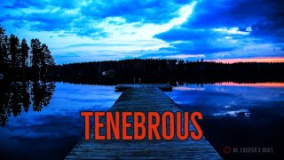 ''Tenebrous'' | TERRIFYING MONSTER IN THE DARK CREEPYPASTA