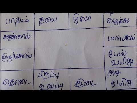 Rasi Chart Basics | ராசி கட்டம் | Rasi Kattam in Tamil Rasi Chart Basics | ராசி கட்டம் | Rasi Kattam in Tamil