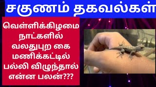 വെള്ളിയാഴ്ചകളിൽ/എല്ലാം ഒരു നന്ദിനിയിൽ വലതു കൈത്തണ്ടയിൽ പല്ലി വീണാൽ എന്ത് ഫലം