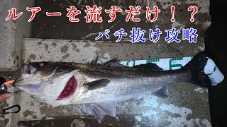 【シーバス】湾奥河川バチ抜け！秘訣はただ流すだけ！？【雑魚日誌5日目】