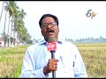 tips for good yields in rabi paddy