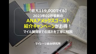 【最大119,000マイル】2023年02月最新のANAアメックスゴールド紹介キャンペーンがお得！マイル獲得までの流れを丁寧に解説　マイレージ総合研究所