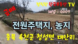 충북 옥천군 청성면 대안리 전원주택지 및 대체농지