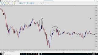 Uncle Ted forex Webinar