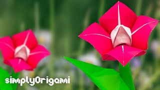 ORIGAMI Bicolor Flower | easy paper BICOLOR FLOWER  | How To 🌸 | by Lionel Albertino