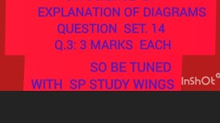 explanation  of diagrams science2 ssc