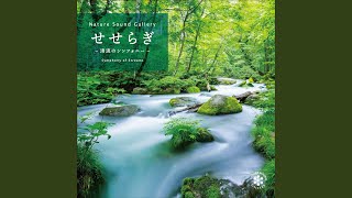 水のささやき～大釜弁財天道・二の足沢（神奈川県）／自然音...