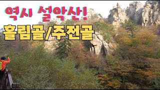 설악산 흘림골 주전골 단풍 현황 | 2024.10.17 |