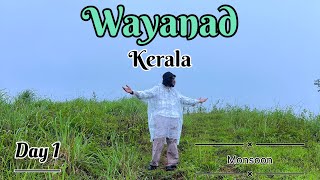 Monsoon tourist places in Kerala | Wayanad tourism | Kerala tourism #kerala #wayanad #monsoon #rain