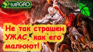 1 КАПЛЯ - и корни растут как сумасшедшие! УЖАС УЖАСНЫЙ... ДЛЯ ДРУЖНЫХ ВСХОДОВ и КОРНЕЙ!